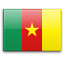 Rameau Thierry Sokoudjou The African Assassin